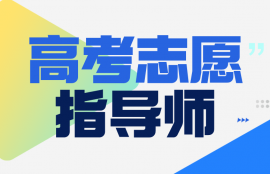 高考志愿指导师
