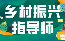 乡村振兴指导师
